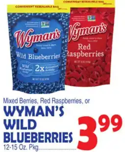 Bravo Supermarkets WYMAN'S WILD BLUEBERRIES offer