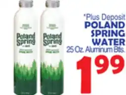 Bravo Supermarkets POLAND SPRING WATER offer