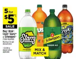 Dollar General Mug , Brisk , Crush , Starry TM or Schweppes offer