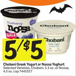 Stop&Shop Chobani Greek Yogurt or Noosa Yoghurt offer