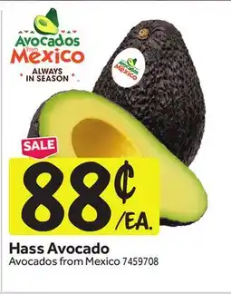 Stop&Shop Hass Avocado offer