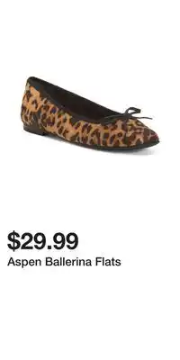 TJ Maxx Aspen Ballerina Flats offer