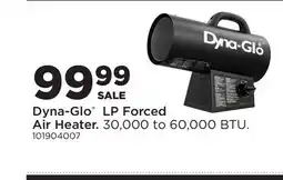 Fleet Farm Dyna-Glo LP Forced Air Heater offer