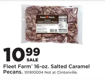 Fleet Farm Fleet Farm 16-oz. Salted Caramel Pecans offer