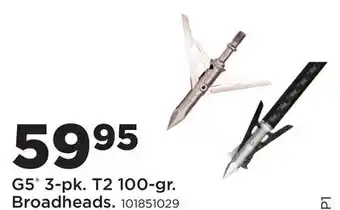 Fleet Farm G5 3-pk. T2 100-gr. Broadheads offer