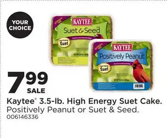 Fleet Farm Kaytee 3.5-lb. High Energy Suet Cake offer