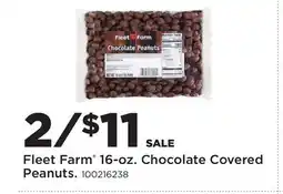 Fleet Farm Fleet Farm 16-oz. Chocolate Covered Peanuts offer