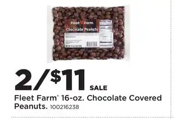 Fleet Farm Fleet Farm 16-oz. Chocolate Covered Peanuts offer