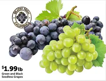 Green and Black Seedless Grapes