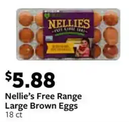 Fareway Nellie's Free Range Large Brown Eggs offer