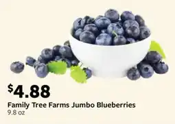 Fareway Family Tree Farms Jumbo Blueberries offer