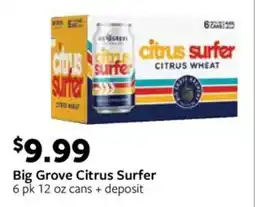 Fareway Big Grove Citrus Surfer offer