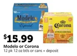 Fareway Modelo or Corona offer