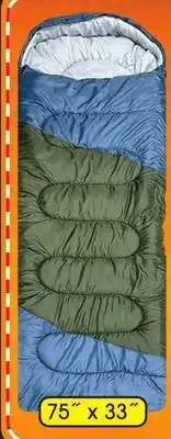 Big 5 Golden Bear Dagwood Sleeping Bag offer