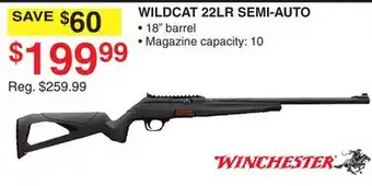 Dunham's Sports WINCHESTER WILDCAT 22LR SEMI-AUTO offer