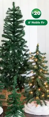 Dollar Tree 6' Noble Fir Hinged Artificial Christmas Tree offer
