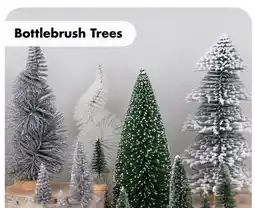 Dollar Tree Bottlebrush Trees offer
