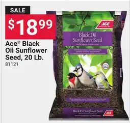 Ace Hardware Ace Black Oil Sunflower Seed 20 Lb offer