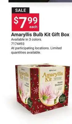 Ace Hardware Amaryllis Bulb Kit Gift Box offer