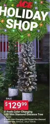 Ace Hardware 5' Prelit Color-Changing LED Slim Diamond Entrance Tree offer