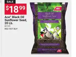 Ace Hardware Ace Black Oil Sunflower Seed offer