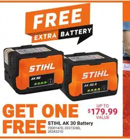 Ace Hardware STIHL AK 30 Battery offer