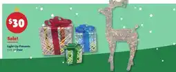 Family Dollar Light‑Up Presents 3 ct. or Deer offer