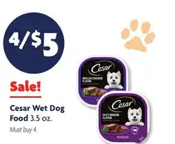Family Dollar Cesar Wet Dog Food offer