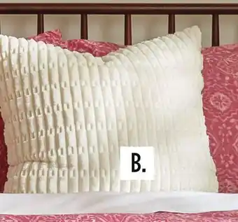 Dollar General Throw Pillow offer