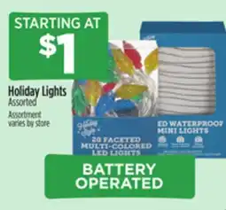 Dollar General Holiday Lights offer