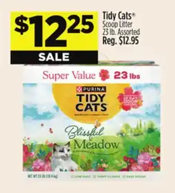 Dollar General Tidy Cats Scoop Litter offer