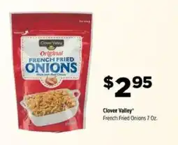 Dollar General Clover Valley French Fried Onions offer