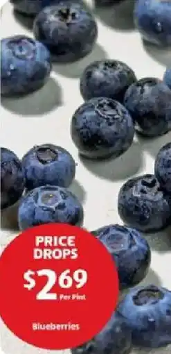 Aldi Blueberries offer