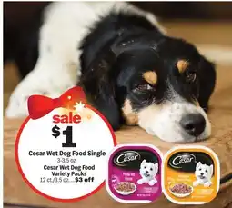 Meijer Cesar Wet Dog Food Single offer