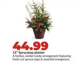 Hy-Vee 15 Sprucetop planter offer