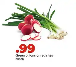Hy-Vee Green onions or radishes offer