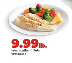 Hy-Vee Fresh catfish fillets offer