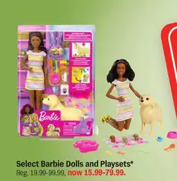Meijer Select Barbie Dolls and Playsets offer