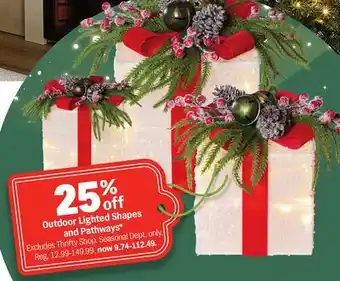 Meijer Outdoor Lighted Shapes and Pathways offer