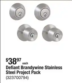 The Home Depot Defiant Brandywine Stainless Steel Project Pack offer