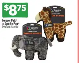 Dollar General Forever Pals or Spunky Pup Dog Toys offer