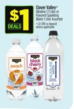 Dollar General Clover Valley Alkaline or Flavored Sparkling Water offer