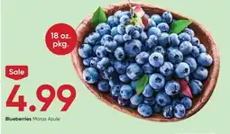 Stater Bros Blueberries offer
