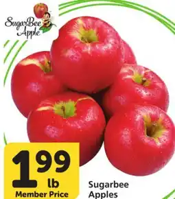 Albertsons Sugarbee Apples offer