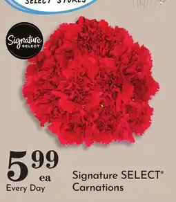 Pavilions Signature SELECT Carnations offer