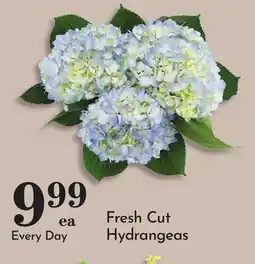 Pavilions Fresh Cut Hydrangeas offer