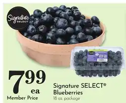 Pavilions Signature SELECT Blueberries offer