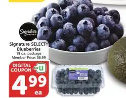 Vons Signature SELECT Blueberries offer