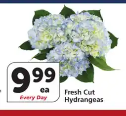 Vons Fresh Cut Hydrangeas offer