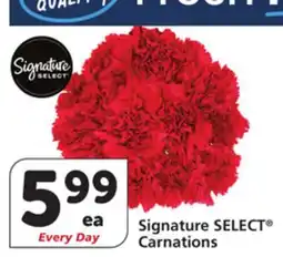 Vons Signature SELECT Carnations offer